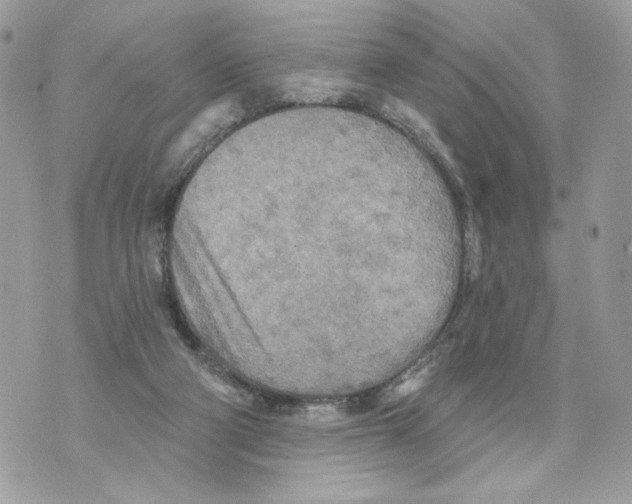 X0000070360114200607072113