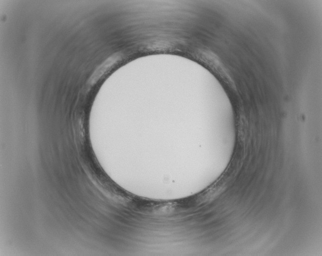 X0000070360116200607072113