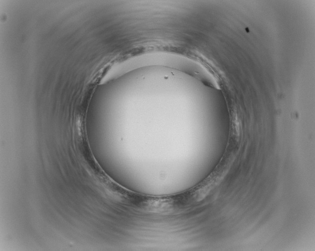 X0000070360117200607072113