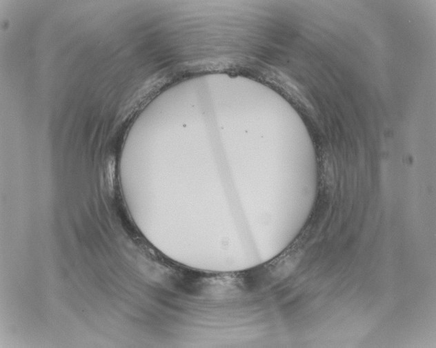 X0000070360118200607072113