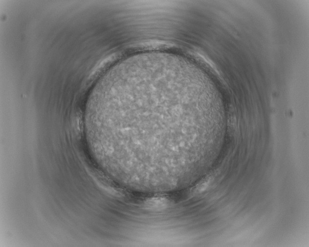 X0000070360119200607072113