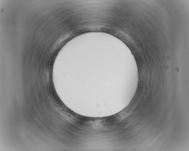 X0000070360120200607072113