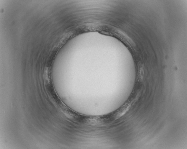 X0000070360121200607072113