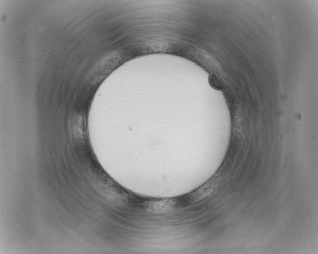 X0000070360122200607072113