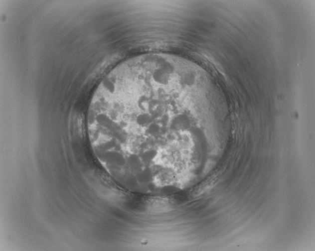 X0000070360123200607072113