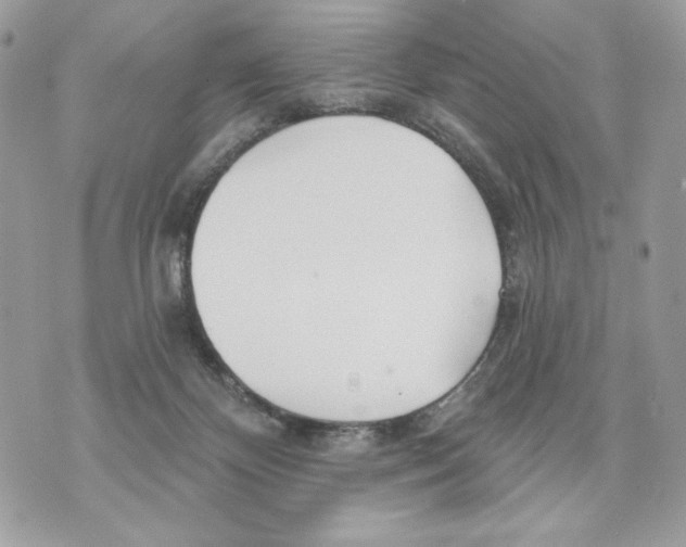 X0000070360124200607072113