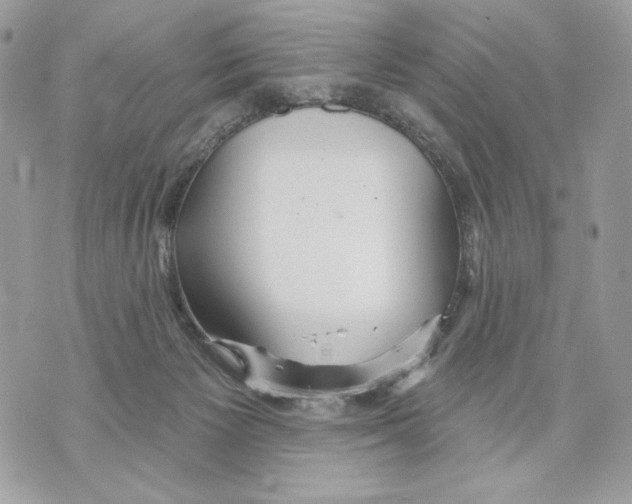 X0000070360125200607072113