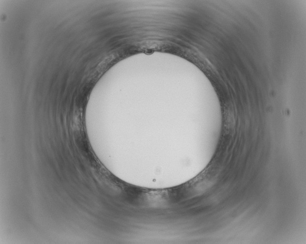 X0000070360126200607072113