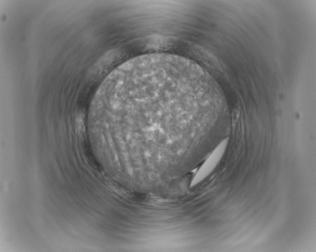 X0000070360127200607072113