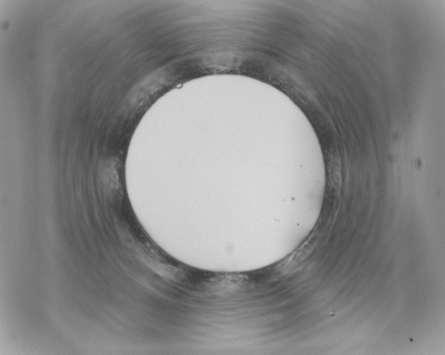 X0000070360128200607072113