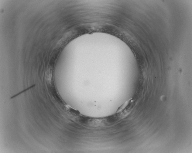 X0000070360129200607072113