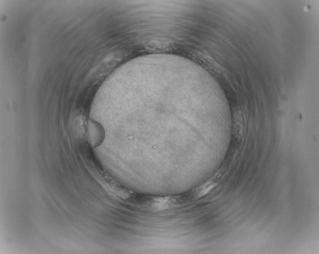 X0000070360130200607072113