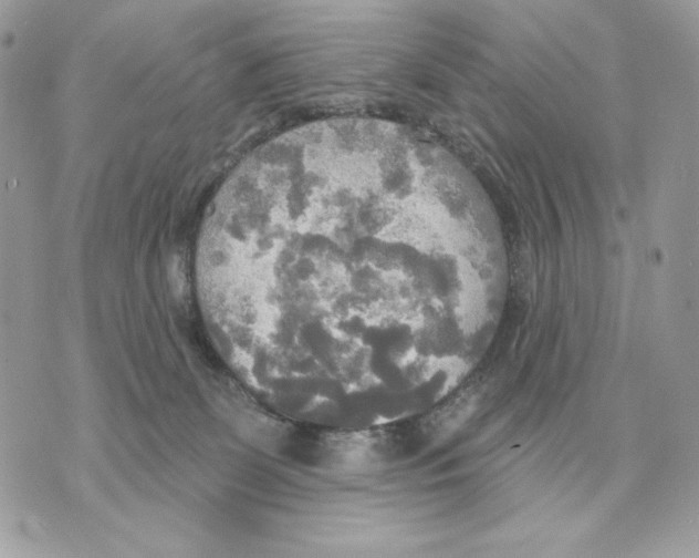 X0000070360131200607072113