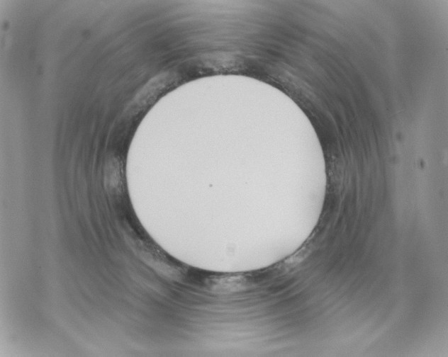 X0000070360132200607072113