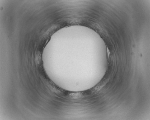 X0000070360133200607072113