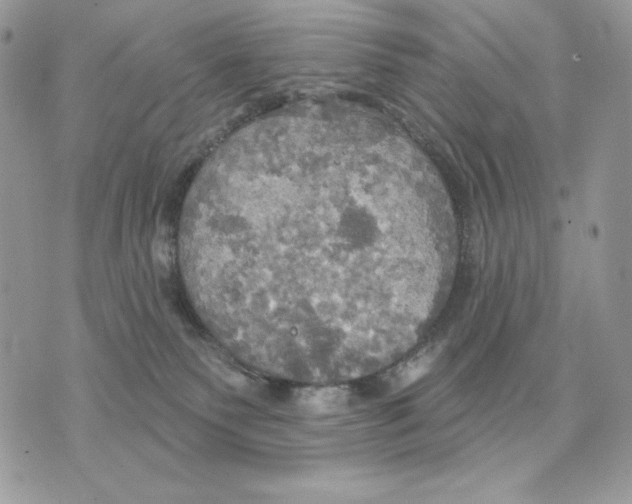 X0000070360135200607072113