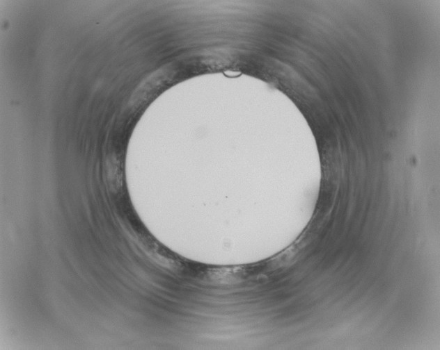 X0000070360136200607072113