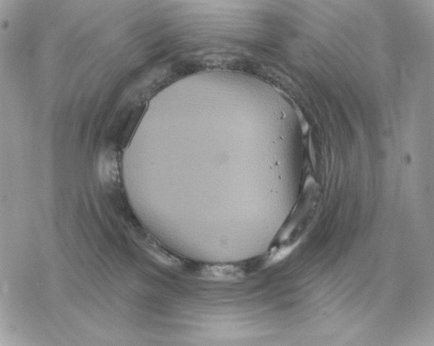 X0000070360137200607072113