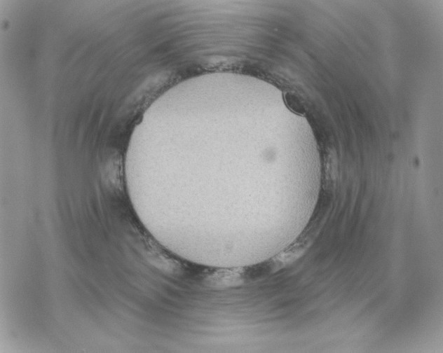 X0000070360138200607072113