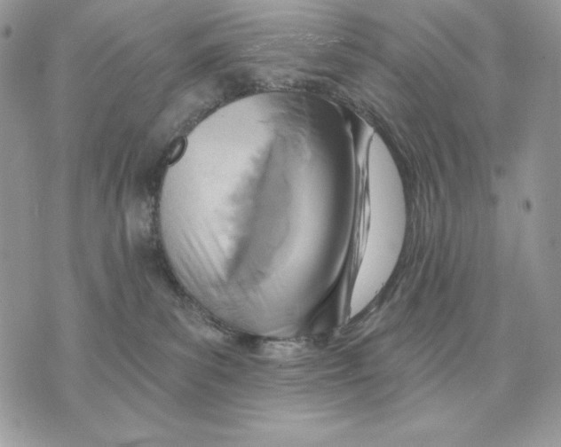 X0000070360139200607072113