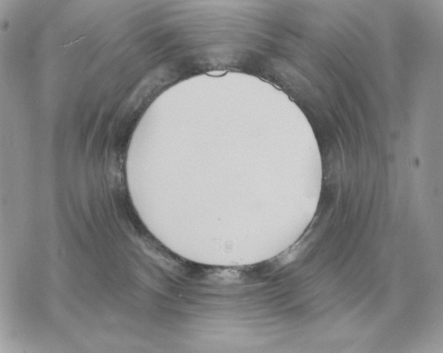 X0000070360140200607072112