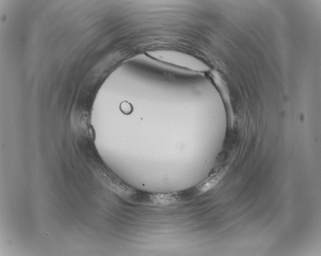 X0000070360141200607072112