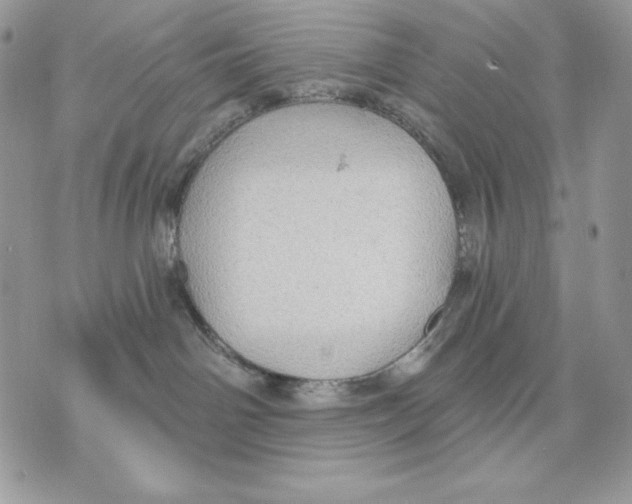 X0000070360142200607072112