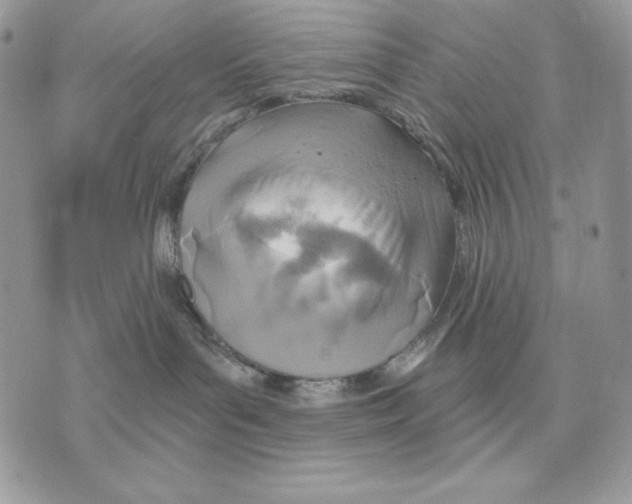 X0000070360143200607072112