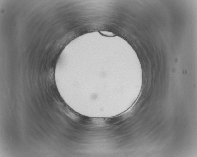 X0000070360144200607072112