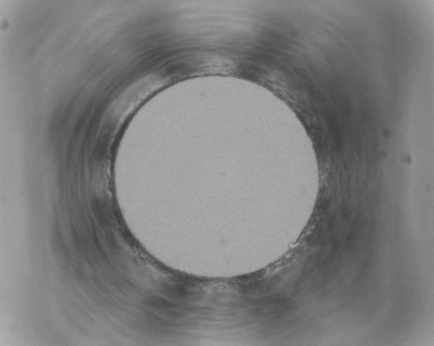 X0000070360146200607072112