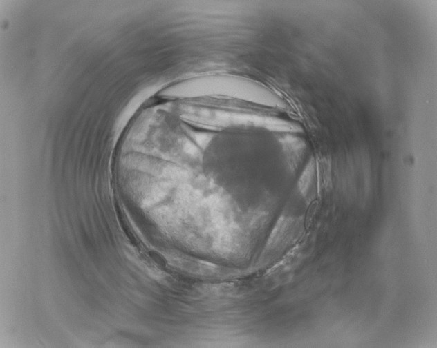 X0000070360147200607072112