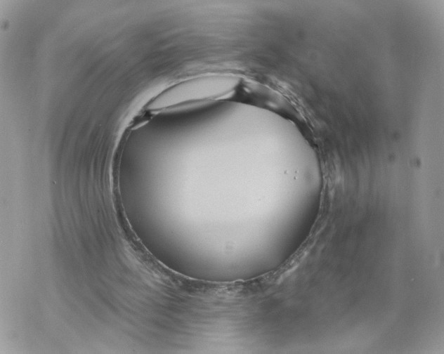 X0000070360148200607072112