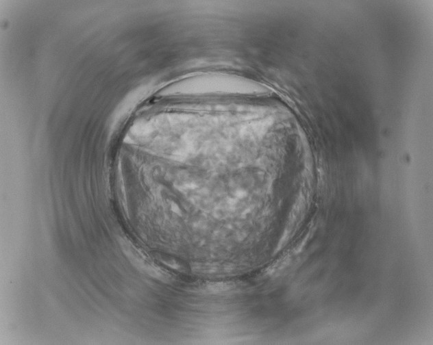 X0000070360149200607072112