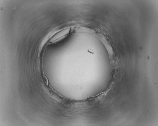 X0000070360150200607072112