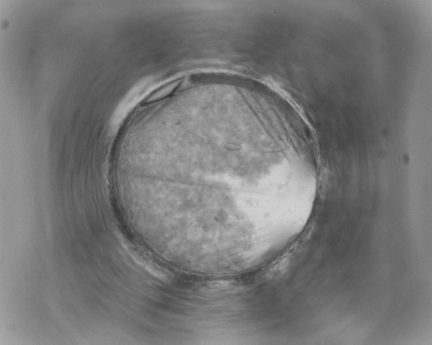 X0000070360151200607072112