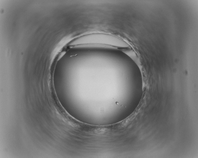 X0000070360152200607072112