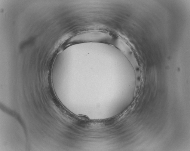 X0000070360154200607072112