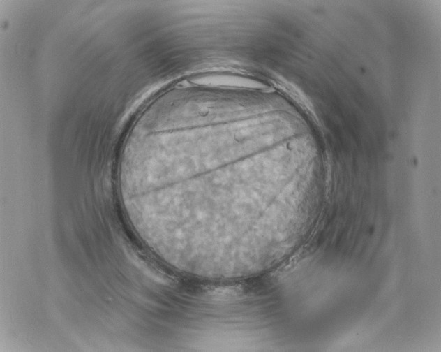 X0000070360155200607072112