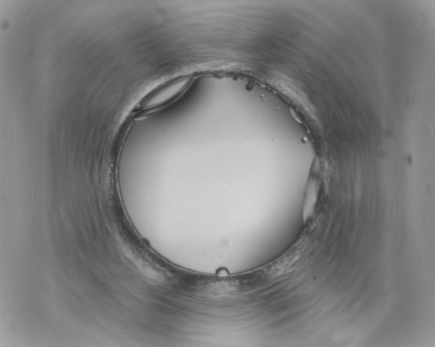 X0000070360156200607072112