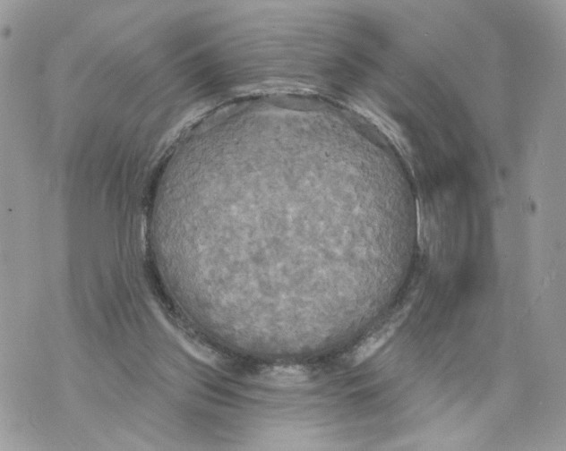 X0000070360157200607072112