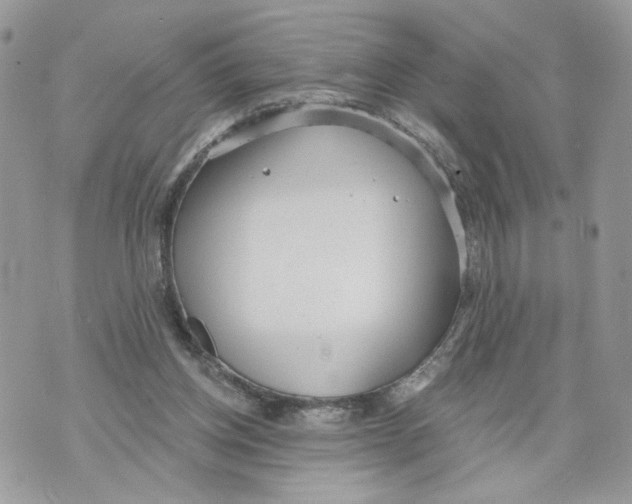 X0000070360158200607072112