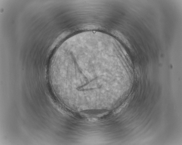 X0000070360159200607072112