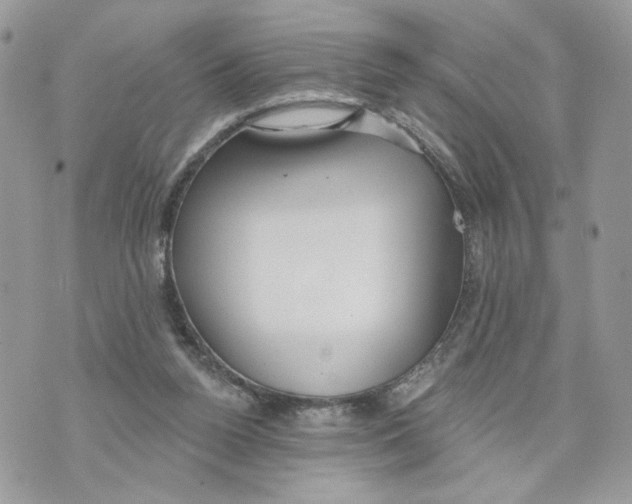 X0000070360160200607072112