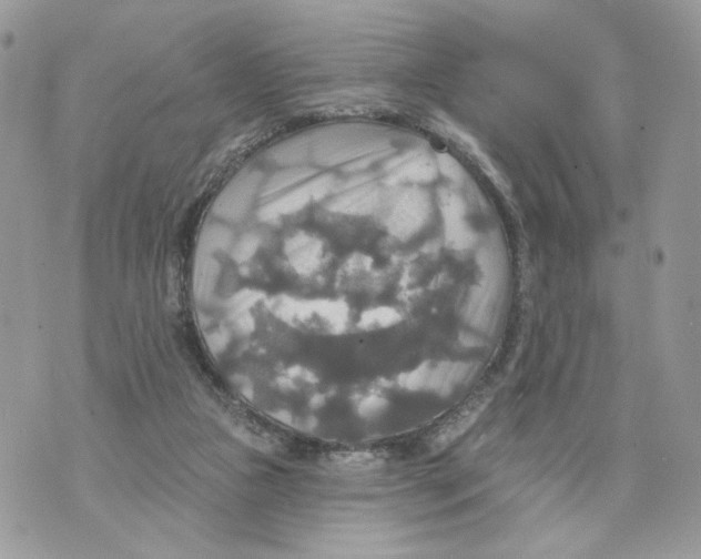 X0000070360161200607072112