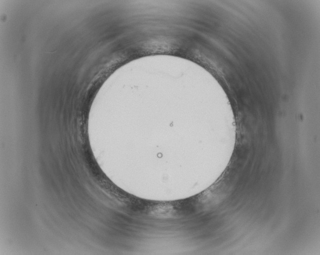 X0000070360162200607072112