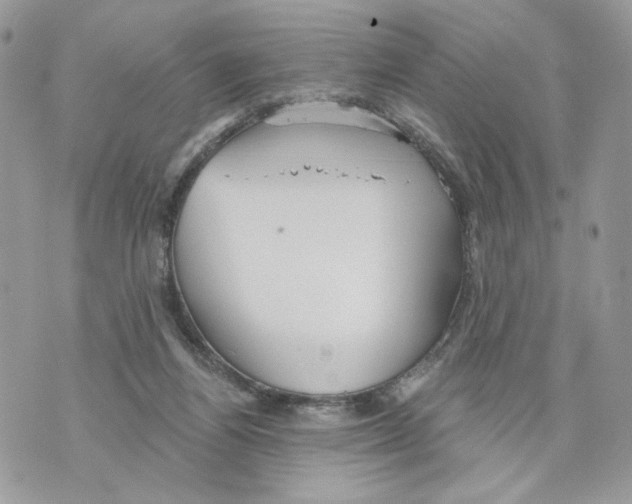 X0000070360164200607072112