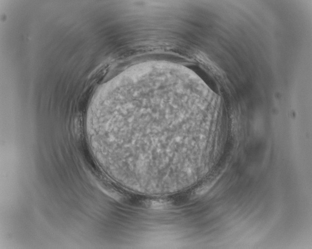 X0000070360165200607072112