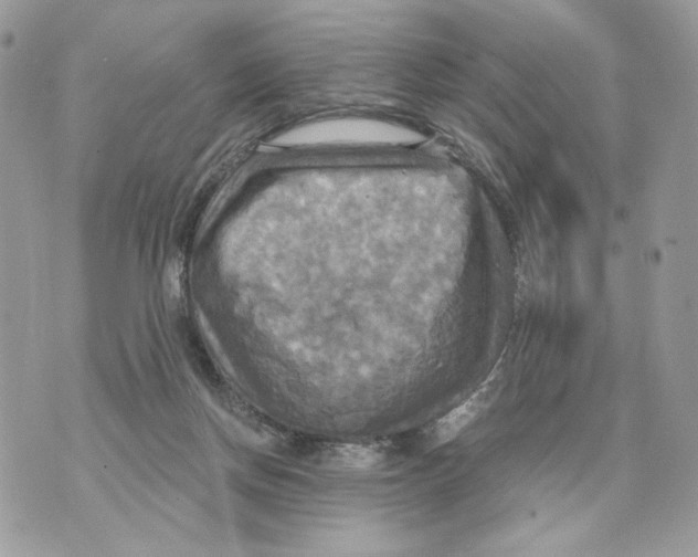 X0000070360166200607072112