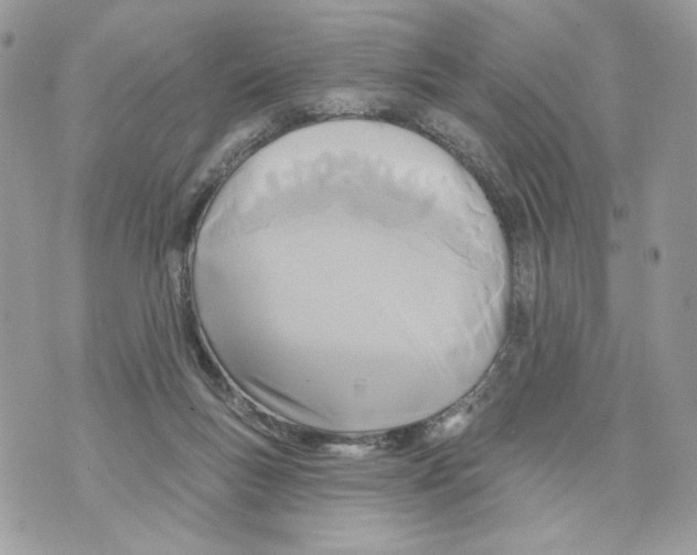 X0000070360167200607072112