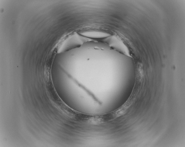 X0000070360168200607072112